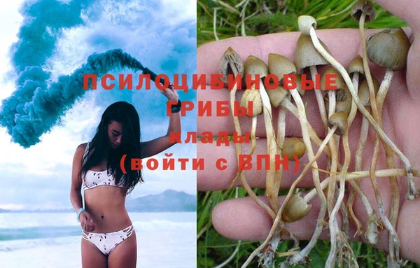 гидра Зеленодольск