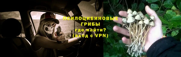 mdma Зеленокумск