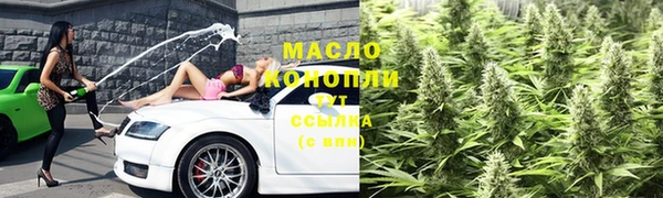 гидра Зеленодольск