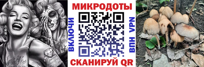Псилоцибиновые грибы Psilocybe  Купить где  Поворино 